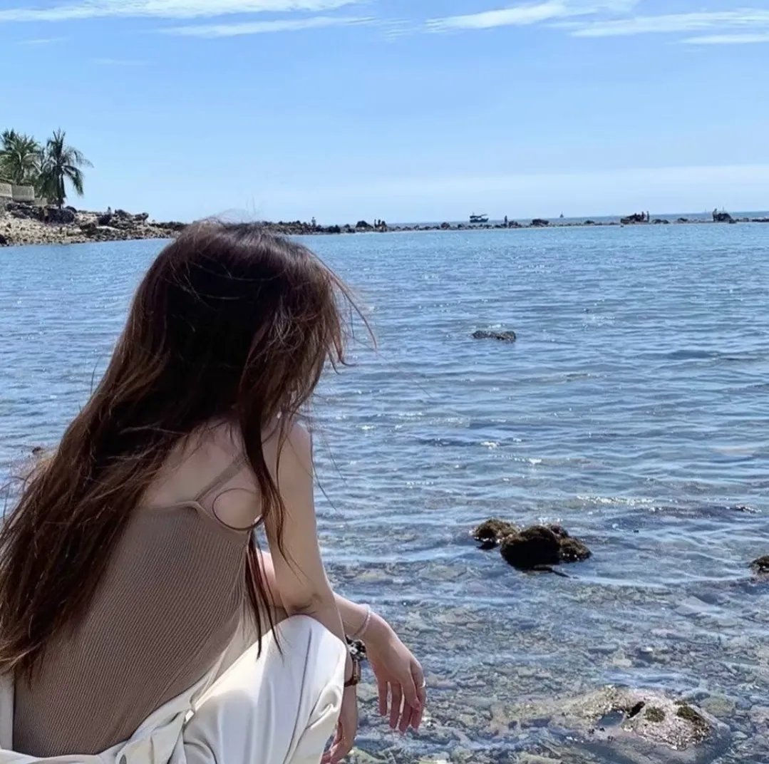夏洛特的网