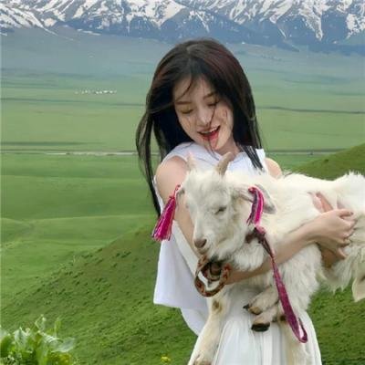 摇滚藏獒蓝色光芒